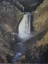 Chutes de Yellow Stnes - USA